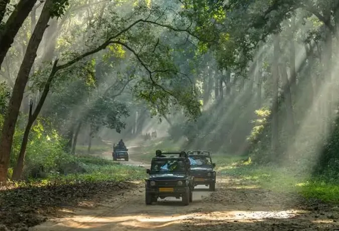 best resort near Jim Corbett National Park 4
