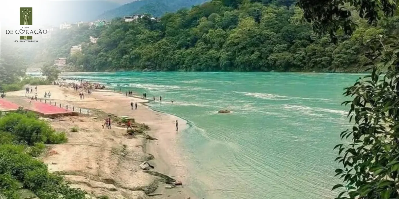 Goa Beach in Rishikesh and How It Compares With the Real Goa
