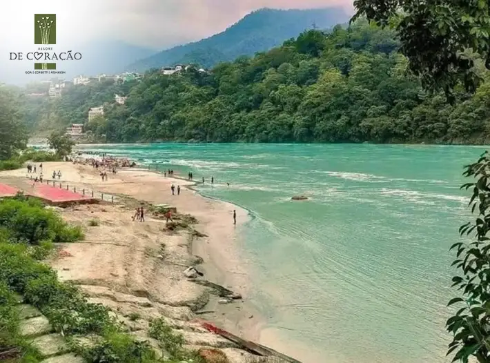  riverside resorts in Rishikesh