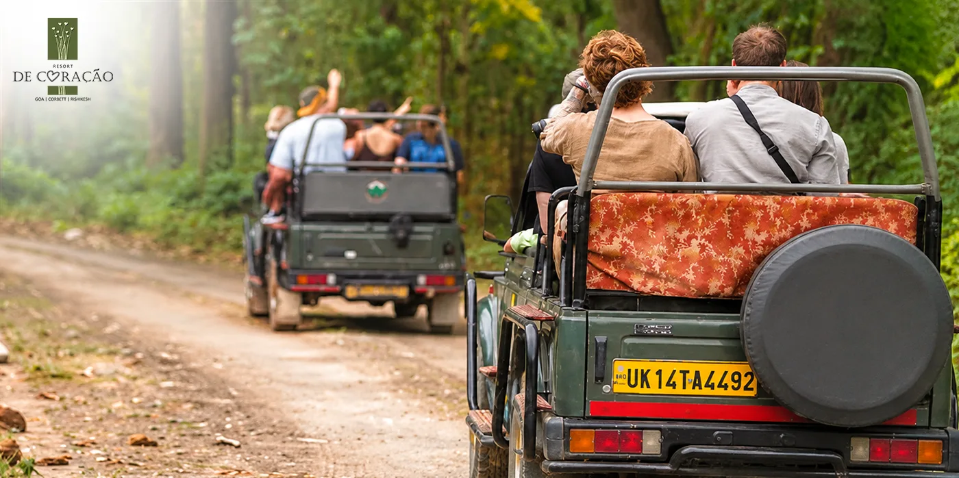 Delhi to Jim Corbett Distance and Drive Time, Planned Around Your Safari Slot