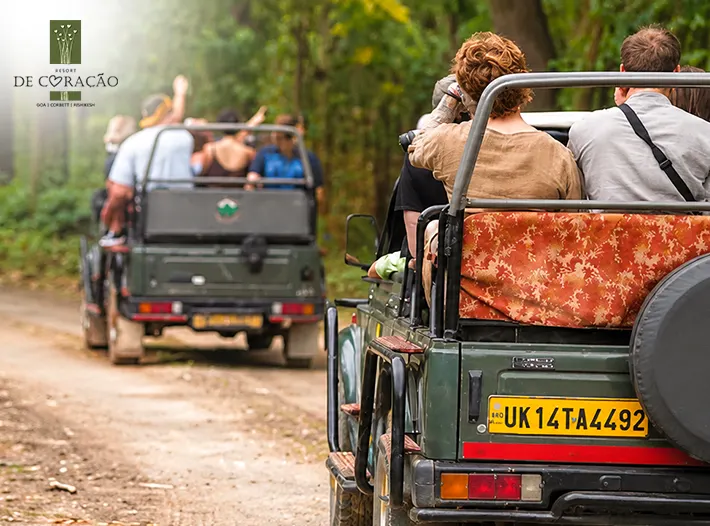 best resort near Jim Corbett National Park