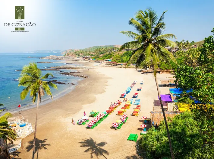 Luxury Hotel in Goa 2